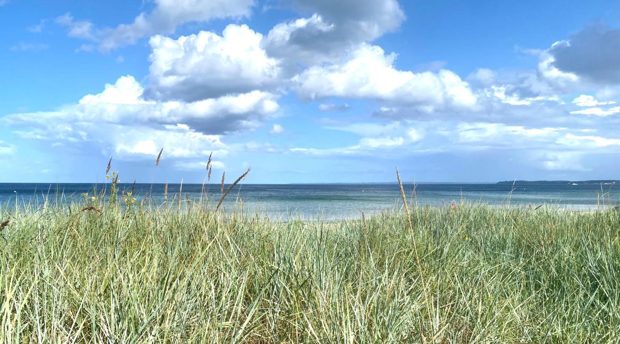 Meeresrauschen - Strandnah Und Ruhig Apartment *